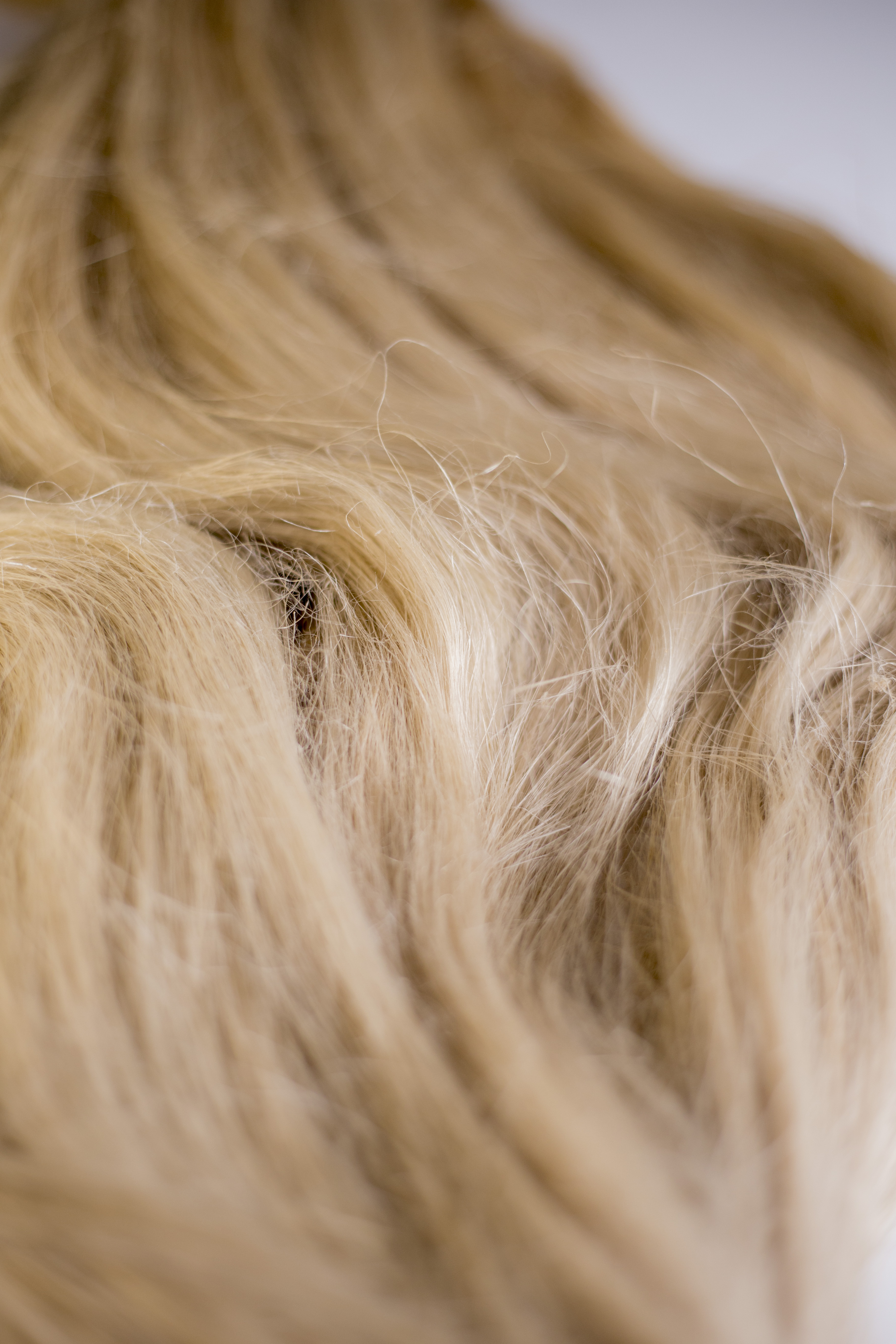 Egyptian hackled flax long fiber — view 2